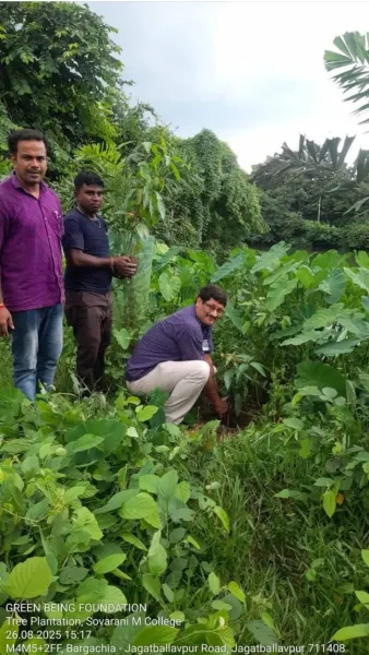 Mango Tree Plantation Drive at Sovarani Memorial College — photo 2